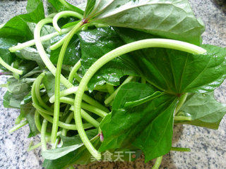 Stir-fried Sweet Potato Vine with Minced Garlic recipe