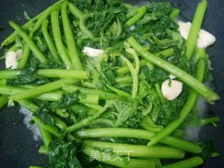 Stir-fried Pumpkin Seedlings recipe