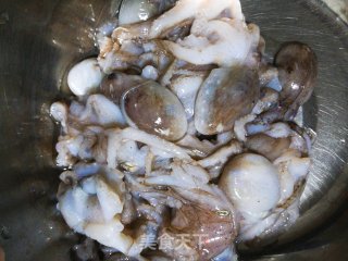 Spicy Small Octopus recipe
