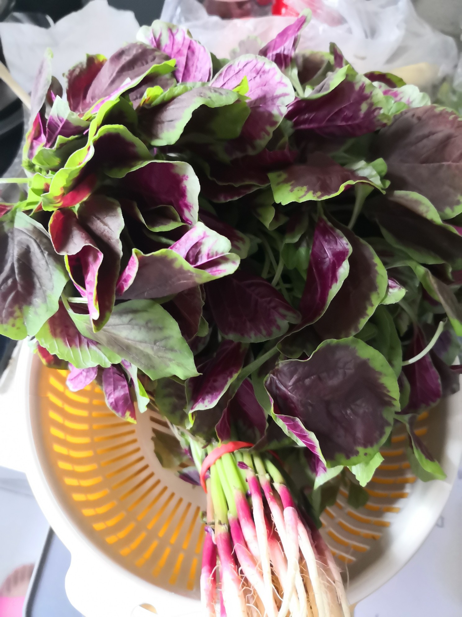 Stir-fried Amaranth recipe