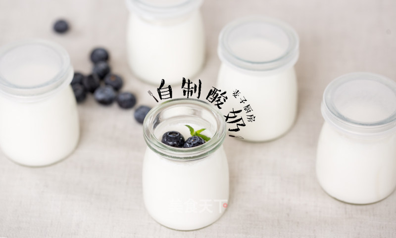 Homemade No Added Yogurt recipe