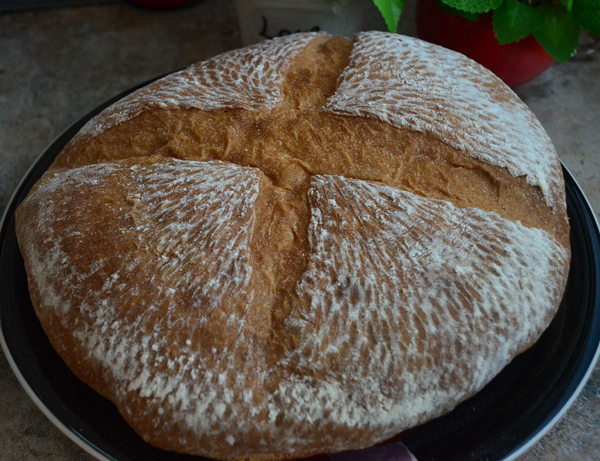 Open Cheese Sandwich recipe