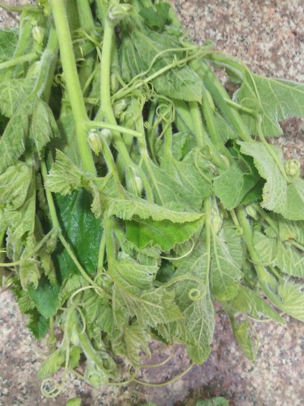 Vegetarian Fried Pumpkin Tip recipe