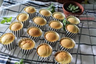 Cups Carrying Away-yogurt Cupcakes recipe