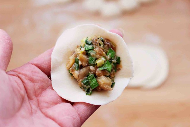 Mushroom Leek Dumplings recipe