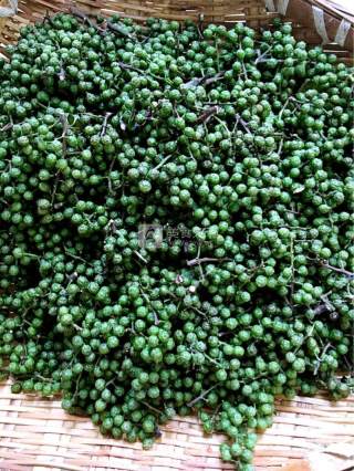 Pepper Oil recipe