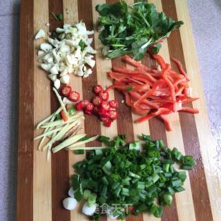 Fast Lazy Meal ~ ~ Shredded Chicken recipe