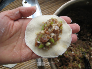 Pork and Scallion Pot Stickers recipe