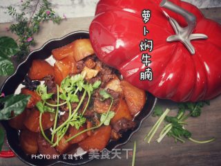 #trust之美# Braised Beef Brisket with Radish recipe