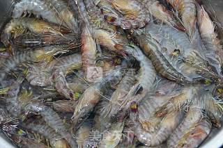 Boiled Shrimp recipe