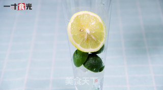 Lemon Mint Punch recipe