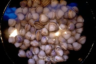 Boiled White Clams recipe