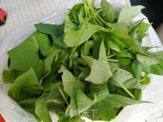 Garlic Sweet Potato Leaves recipe