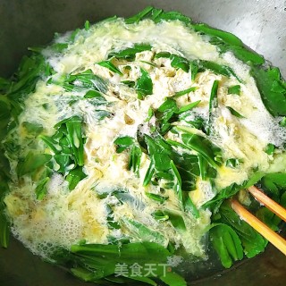 Nourishing Cabbage Egg Soup recipe