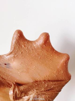Whole Wheat Cocoa Toast recipe