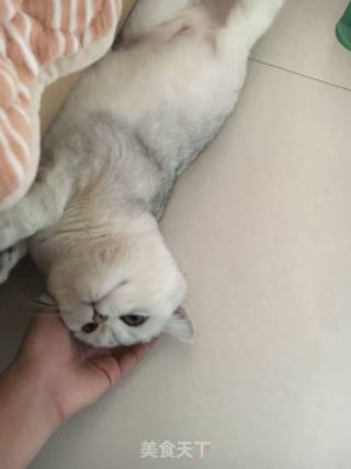 Stir-fried Zucchini with Tomatoes recipe