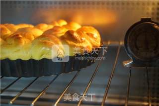 Money Roll Bread-aca-tm33ht Electric Oven Experience recipe