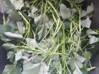 Stir-fried Potato Leaves with Shallots recipe