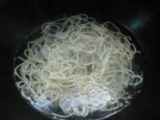 Peanut Noodles recipe