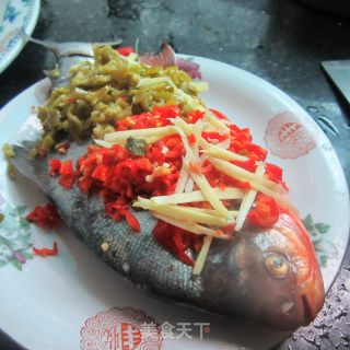 Double Pepper Steamed Fish recipe