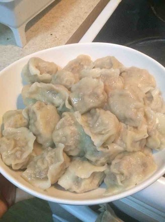Chicken and Mushroom Dumplings recipe