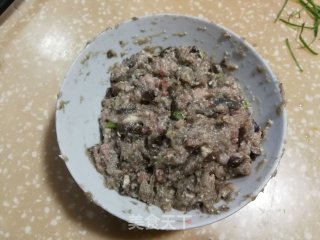 Eggplant Meatballs recipe