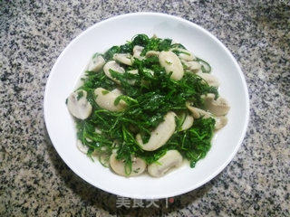 Shepherd's Purse Stir-fried Mushrooms recipe