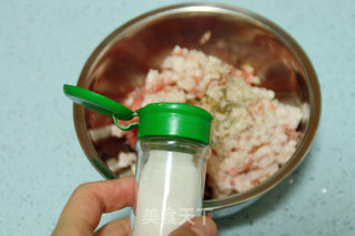 【fresh Meat and Shrimp Wonton】 recipe