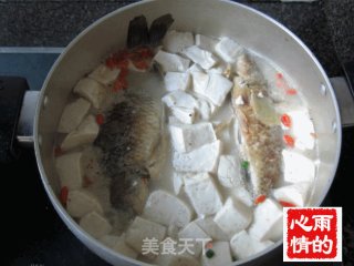 Crucian Tofu Soup recipe