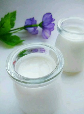 Homemade Yogurt recipe