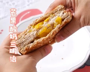 A Collection of 16 Kinds of Breakfast Made by Sandwich Maker (with Video) recipe