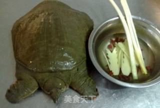 Nourishing Stewed Turtle recipe