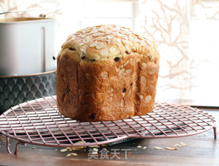 Breadmaker Version of Cuckoo Hof Bread recipe