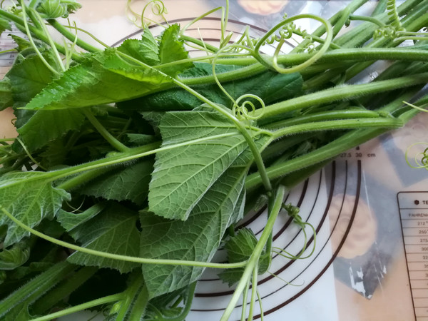 Vegetarian Fried Pumpkin Seedlings recipe