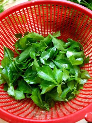 Bitter Vegetable Omelette recipe