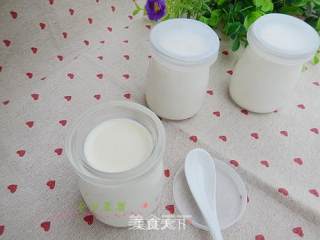 Homemade Yogurt recipe