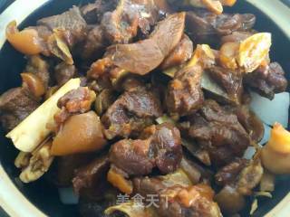 Lamb Stew with Radishes recipe