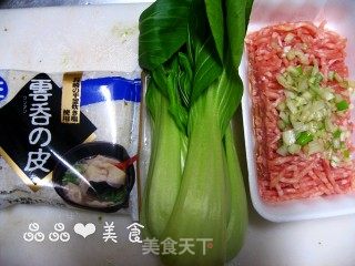 【shanghai Classic】wontons with Vegetables and Fresh Meat recipe