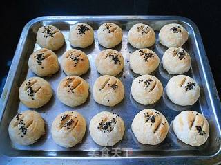 Vegetarian Pastry recipe