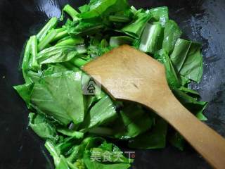 Stir-fried Rape Root with Tofu recipe