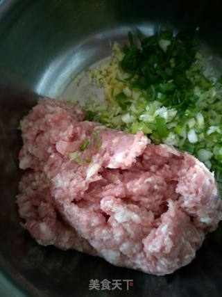 A Bowl of Wontons recipe