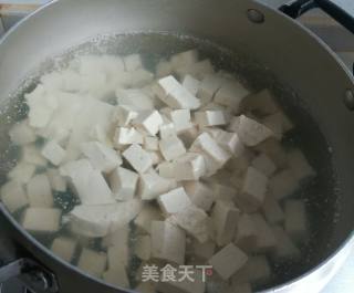 Spicy Tofu recipe