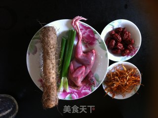 Autumn Nourishing Soup-quail Stewed with Cordyceps Flower recipe