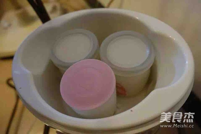 Homemade Beneficial Yogurt recipe