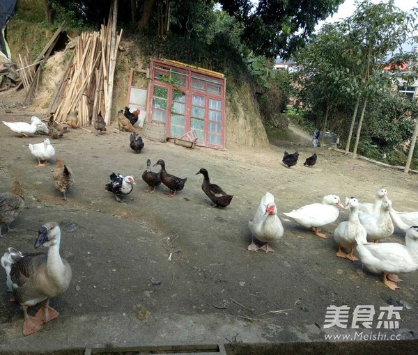 Yongchun White Duck Soup recipe