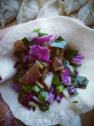 Pork. Leek. Purple Cabbage Dumplings recipe