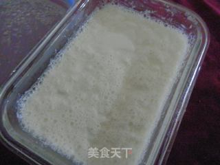 【kaifeng】homemade Yogurt recipe