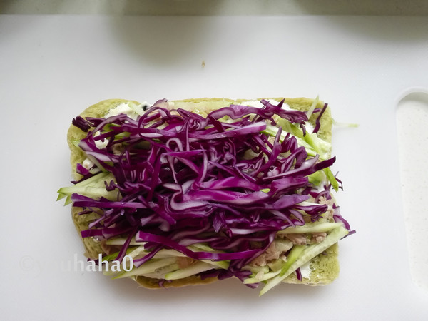 Tuna and Vegetable Sandwich recipe