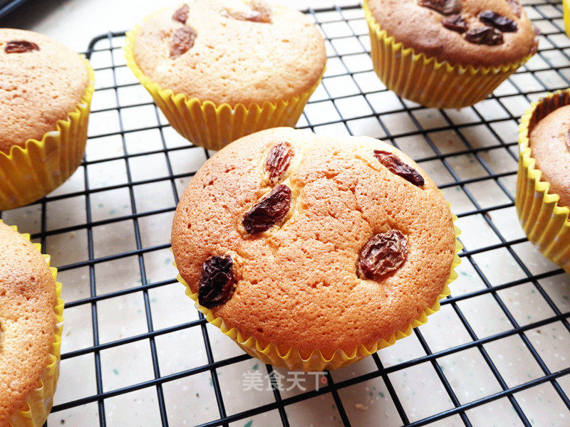 Honey Cup Cake recipe