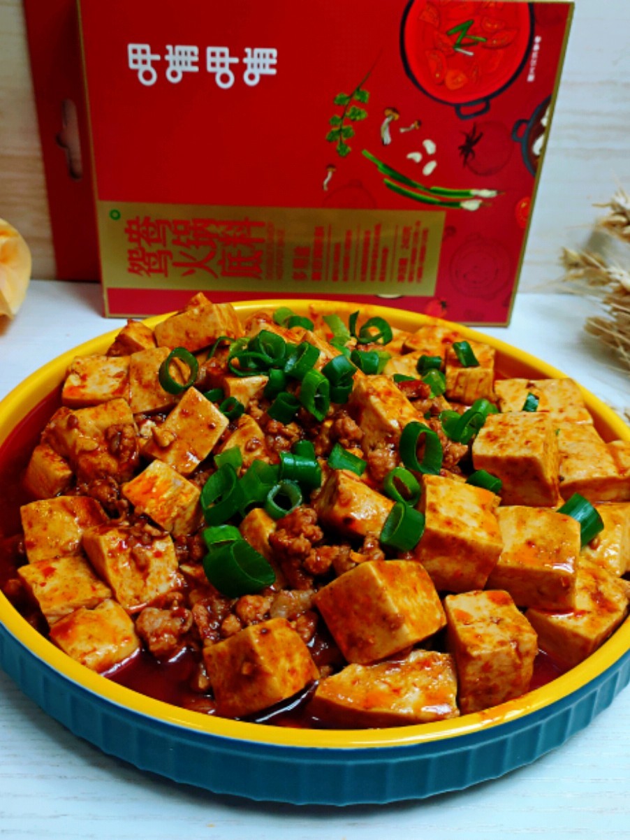 Mapo Tofu that is So Delicious